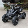 Квадроцикл Electro Racer 500w 6