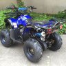 Квадроцикл Classic 7 125 cc