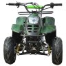 Квадроцикл Classic 6 (110cc)