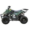 Квадроцикл Classic 6 (110cc)