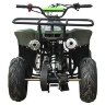 Квадроцикл Classic 6 (110cc)