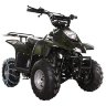 Квадроцикл Termit Junior