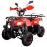 Квадроцикл Hunter Junior
