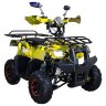 Квадроцикл Hunter Junior
