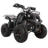 Квадроцикл Hunter 8+ 125 cc