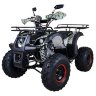 Квадроцикл Hunter 8+ 125 cc