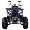 Квадроцикл Hunter 8+ 125 cc