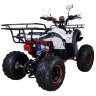 Квадроцикл Hunter 8+ 125 cc