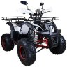 Квадроцикл Hunter 8+ 125 cc