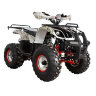 Квадроцикл Hunter 8M 125 cc