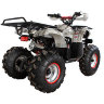 Квадроцикл Hunter 8M 125 cc