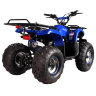 Квадроцикл Hunter 8M 125 cc