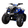 Квадроцикл Hunter 8M 125 cc