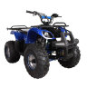 Квадроцикл Hunter 8M 125 cc
