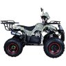 Квадроцикл Hunter 8M 125 cc