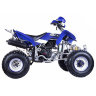 Квадроцикл Irbis 250s