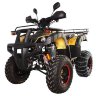 Квадроцикл Hunter 250 Lux (мод. 2016г)