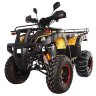 Квадроцикл Hunter 250 Lux (мод. 2016г)