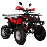 Квадроцикл Hunter 250 (мод. 2016г)