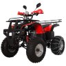Квадроцикл Hunter 250 (мод. 2016г)