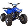 Квадроцикл Termit 7 125 сс