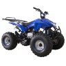 Квадроцикл Termit 7 125 сс