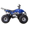 Квадроцикл Termit 7 125 сс