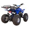 Квадроцикл Termit 7 125 сс