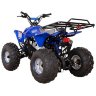 Квадроцикл Termit 7 125 сс