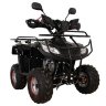 Квадроцикл Piton Lux 125 сс