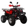 Квадроцикл Hunter 200 (мод. 2016г)