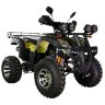 Квадроцикл Hunter 150 Premium