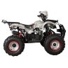 Квадроцикл Hunter 8 125 сс