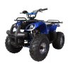 Квадроцикл Hunter 8 125 сс
