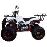 Квадроцикл Hunter 8 125 сс