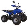 Квадроцикл Termit Lux 125 сс