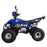 Квадроцикл Termit Lux 125 сс