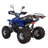 Квадроцикл Termit Lux 125 сс