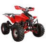 Квадроцикл Termit 8 125 сс
