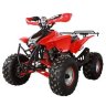 Квадроцикл Termit 8 125 сс