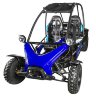 Машина багги Yacota COBRA 250 cc