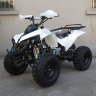 Квадроцикл RaZoR 8