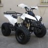Квадроцикл RaZoR 8