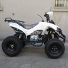 Квадроцикл RaZoR 8