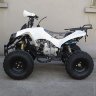 Квадроцикл RaZoR 8