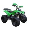 Квадроцикл RaZoR 8