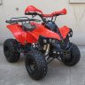Квадроцикл RaZoR 8